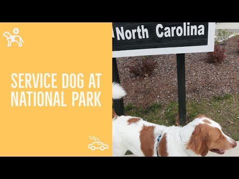 Service Dog's First National Park Visit! (Vlogmas 2020)