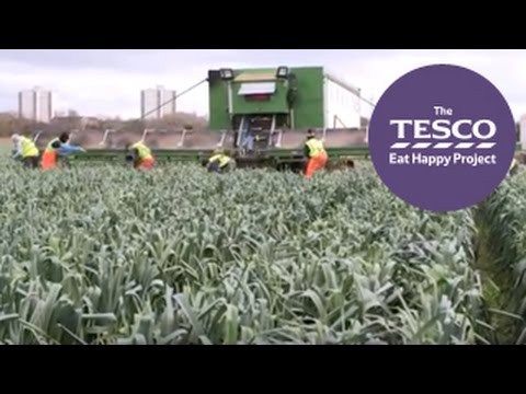 Leeks: from Farm to Fork