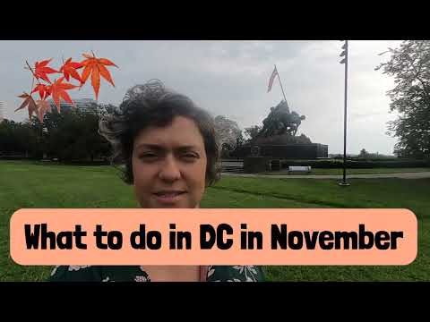 Why November is a GREAT Time to Visit WASHINGTON DC