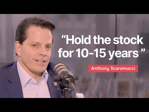 Anthony Scaramucci on AI Stocks Bubble: "Nvidia Is a Clear Winner!"