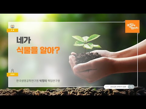 24.08.23 금요일에 과학터치(광주) - 네가 식물을 알아? (식물바이오의약 연구)