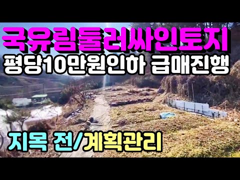 국유림으로 둘러싸여 공기 청정하고 혐오시설 없는 곳에 위치한 자연형토지이며 계획관리지역 지목 전으로 농막도 건축도 가능한 급매양평토지추천