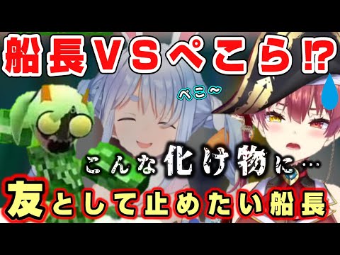 【宝鐘マリン】ぺこらvs船長！悲しき戦い【ホロライブ/切り抜き】