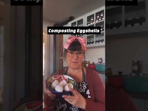 Composting Eggshells