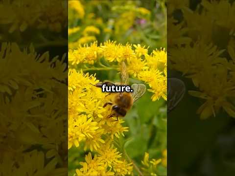 The Vanishing Honeybees: A Global Crisis! #shorts #savethebees #earth #climate #trending #viral