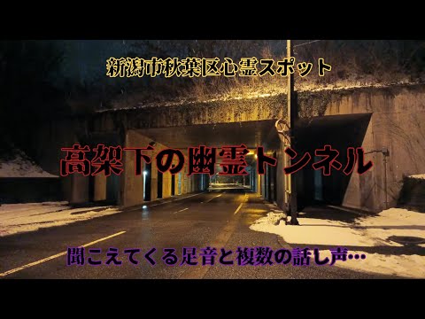 【新潟市秋葉区心霊スポット】高架下の幽霊トンネルでガチで心霊現象が起きました…。