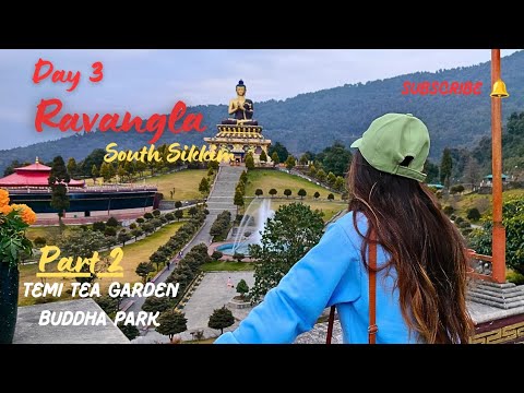 Part 2 Ravangla || Giant Buddha Statue & most trending place Temi Tea Garden ||