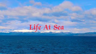 Life at Sea: A Glimpse into the Maritime Adventure ⛵🌊|| @karanmariner