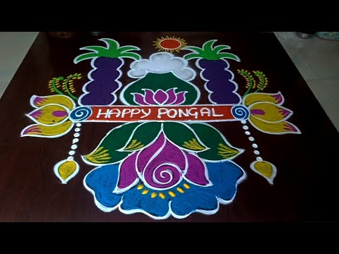 Sankranti muggulu 🌹 beautiful Sankranti rangolis #rangoli #sankranthi #muggulu #festival