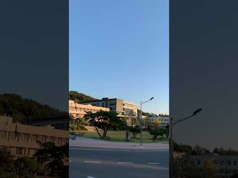 [대학탐방 Shorts] 충남대학교 #충남대학교 #충남대