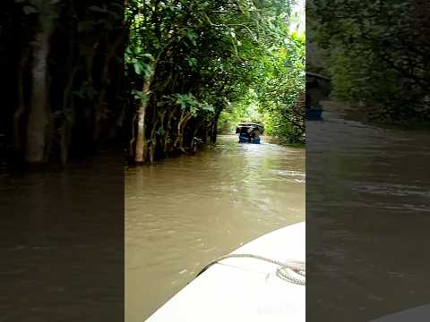 Backwaters Boating ✌ #poovarisland #keralatrip #explore #shortsvideo #viralvideo #@pooja_chashee143