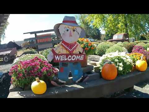 Halloween in USA#newyorkcity#newjersey#pumpkinfarm#halloween2024#usa#america#travel#trendin#festival