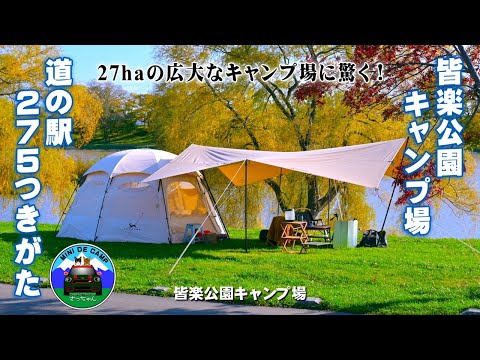 北海道キャンプ！ハロウィン晩秋キャンプは月形町 皆楽公園キャンプ場にて猫とキャンプ！雪虫注意報の中、紅葉と月形温泉で体を癒す！