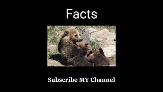 2Amazing Facts #shorts #factvideoinhindi