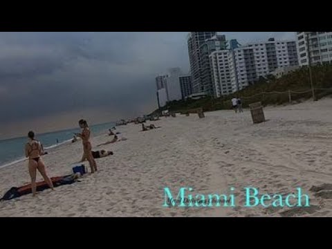 Miami Beach Detecting