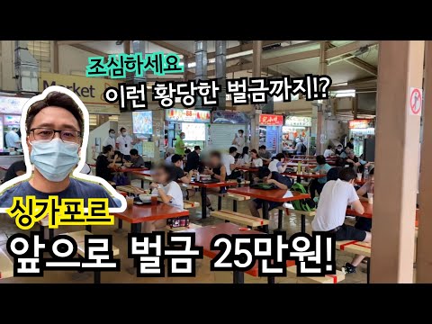 싱가포르 새로운 벌금 | 앞으로 25만원 부과 | 이민생활 | 여행 주의사항