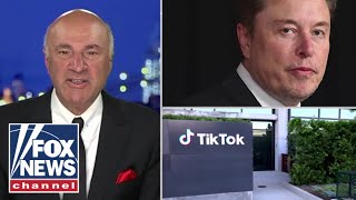 'Slim' chance of Musk getting TikTok, Kevin O'Leary says