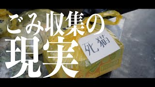 【視聴注意】これを耐えられるなら、ごみ収集の仕事ができます