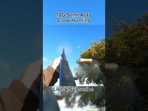 12G Crow Hunting Compilation