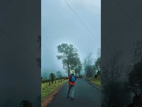 Misty Pullikanam , vagamon #pullikalam #vagamon #idukki #travelvlog