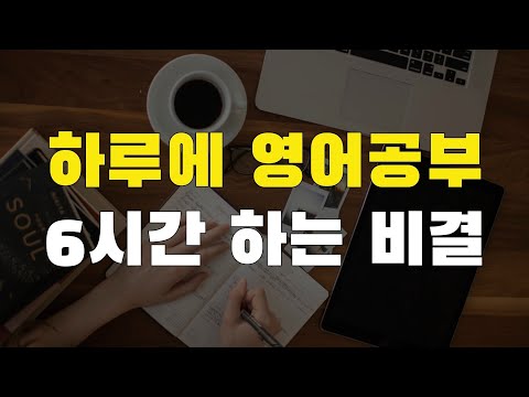 100일 빡세게 공부하면 기초 영어회화가 완벽하게 끝나는 비밀