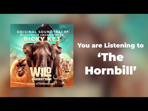 15 Wild Karnataka - The Hornbill - Original Soundtrack by Ricky Kej