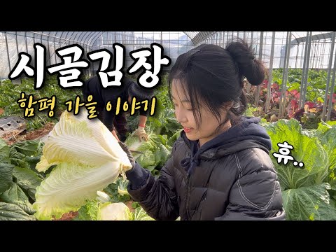 시골 첫 김장🥬 그리고 함평 가을이야기 | 시골 브이로그 | 시골집 | 전라남도 | 귀농귀촌 | 농사 | 밭일 | 힐링 | 여행 | 먹방 | 국향대전