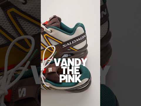 EARLY LOOK Salomon “Vandythepink” 🍔