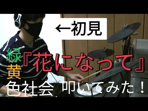 【緑黄色やさい】『花になって』初見で叩いたら腕が死んだwww【緑黄色社会】【薬屋のひとりごと】