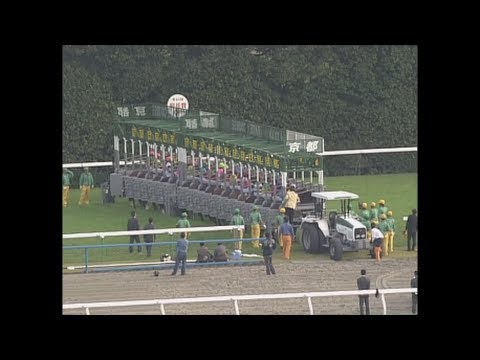 2003年　第64回菊花賞（ザッツザプレンティ　安藤勝己）