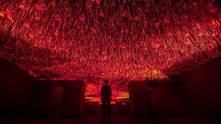 Immersive Art Installation by TUNDRA