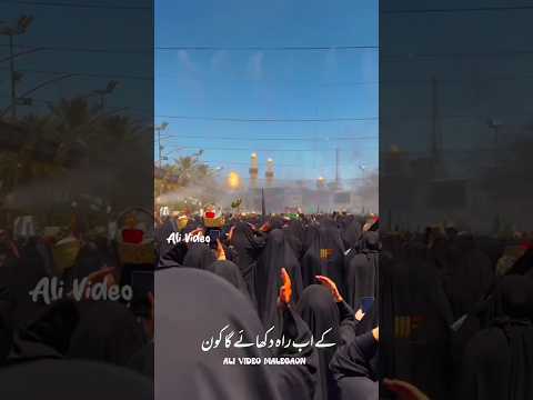 13 Muharram WatsApp Status 1446/2024 | Mesum Abbas Noha Status #shortvideo