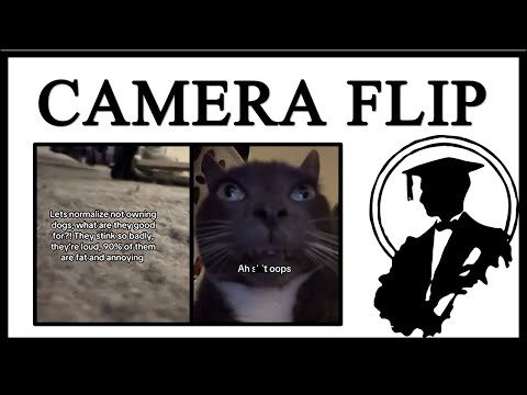 Camera Flips Are Fun Mainstream Memes