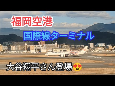 【福岡空港 】国際線の旅😍4−3