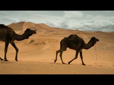 **"Algeria: A Journey Through Africa’s Hidden Gem"**