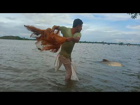 Wow 😲 Rainy Day Fishing | Amazing flood fishing video in village #fish #flood #fishing