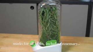 Prepara 'Herb-Savor': Keep Herbs Fresh!