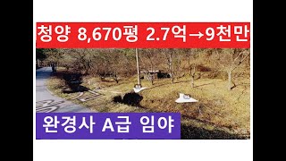 청양 8,670평 2.7억→9천만 (완경사 A급 임야)