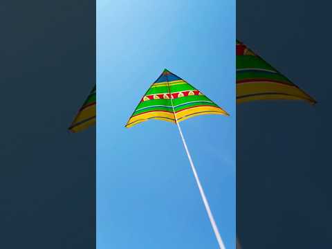 Drone Crashes Into Kite #dronecrash #kite #drone