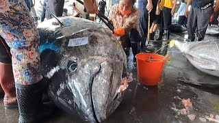 Masterful Cutting Skills Unleashed! 400kg Tuna & Marlin Sashimi by Culinary Maestros 🔪🍣