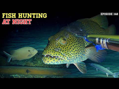 NIGHT SPEARFISHING EPISODE 148 | FISH HUNTING AT NIGHT