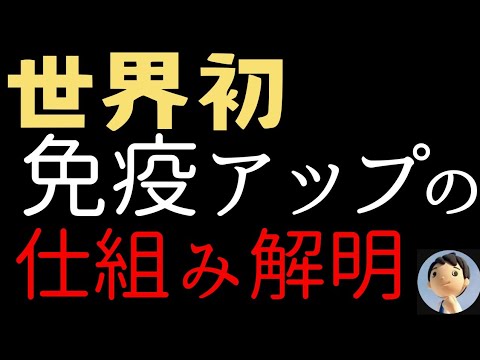 世界初！免疫アップのメカニズム発見！