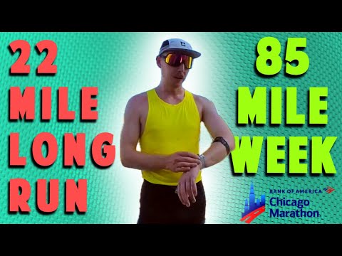 2024 Chicago Marathon Peak Week