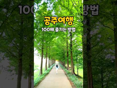 공주여행 100배 즐기는 방법 | 공주 여행 | 공주 가볼만한곳 | #국내여행 #공주여행 #공주여행숏폼공모전