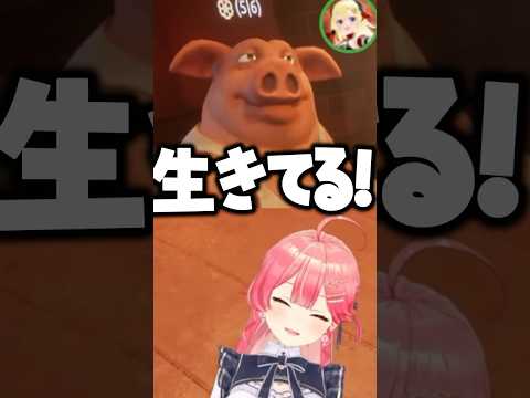 爆笑をかっさらう青くゅ【ホロライブ切り抜き/さくらみこ/白上フブキ/火威青/角巻わため/SakuraMiko】