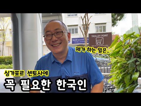 한국 공기업 싱가포르 주재원 이야기 | 대구도시철도 센토사 익스프레스 | 싱가포르 이민생활과 국제학교