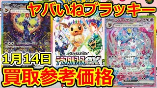 【ポケモンカード】ブラッキーの高騰がヤバイ！テラスタルフェスex  買取参考価格  1月14日