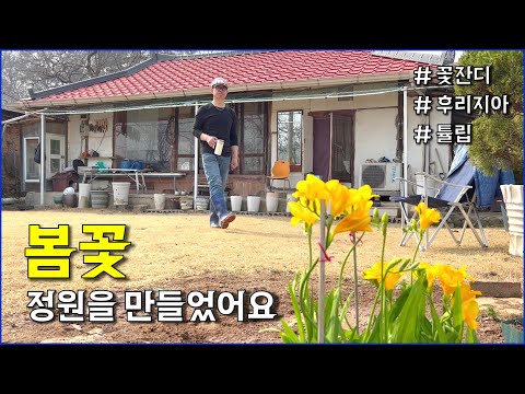 봄꽃 정원 만들기 / 후리지아, 꽃잔디, 튤립, 히아신스 / countryside, gardening, spring flowers