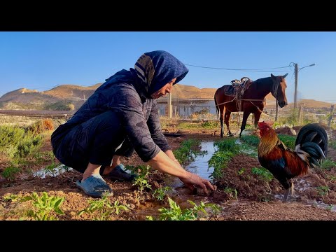 Discovering the Secrets of Living in Iranian village | Daily Routine of Mountain Women