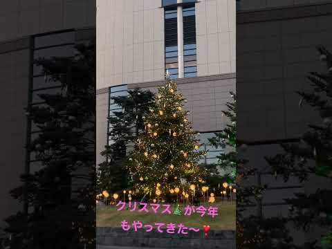 今年もクリスマス🎄がやってきた^ - ^